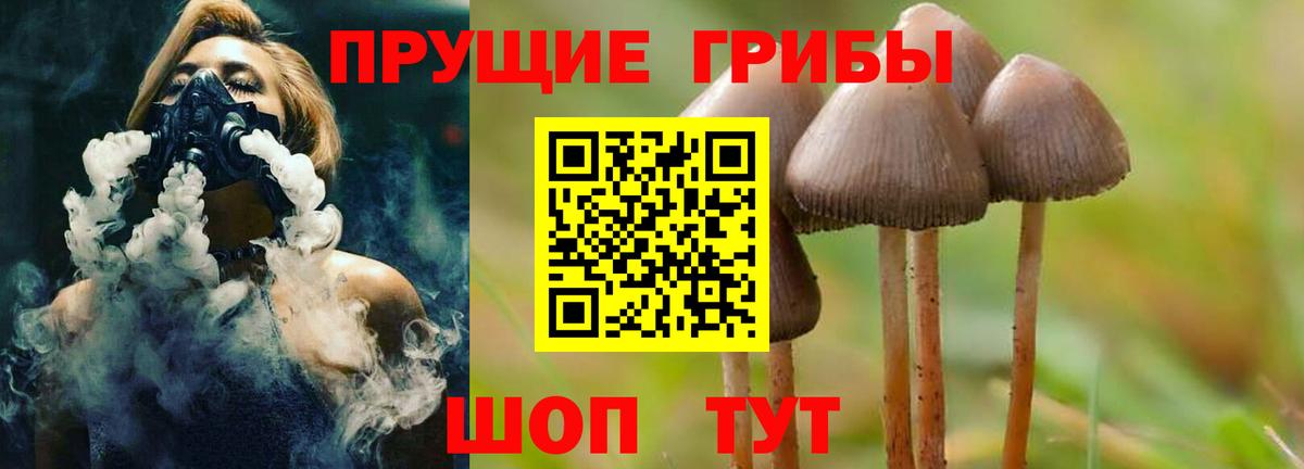 Псилоцибиновые грибы мухоморы Будённовск