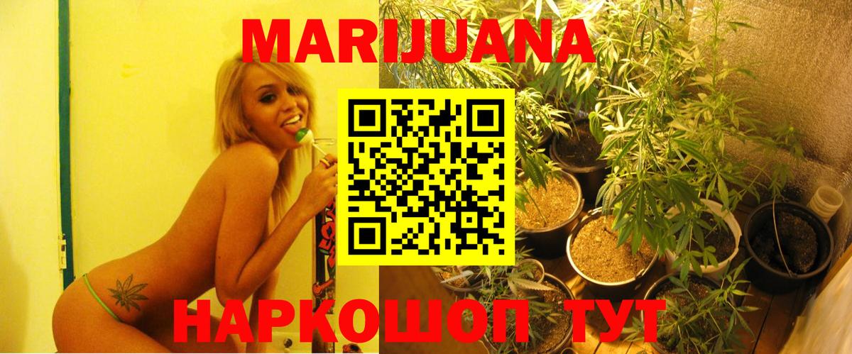 Будённовск  Канабис White Widow  МАРИХУАНА план  Бошки Шишки ГИДРОПОН  Вход с VPN 